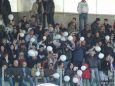 Spalti in festa allo stadio Pirani di Grottammare
