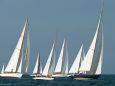 Immagine di una regata (fonte Google)