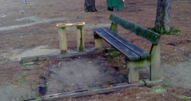 Atti vandalici nella pineta di via Appio Claudio