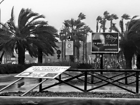 San Benedetto del Tronto 'abbattuta' , foto 5 marzo