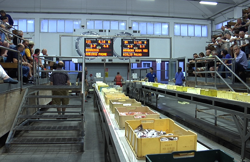 Una notte al Mercato Ittico all'ingrosso: guarda il video reportage -  Riviera Oggi
