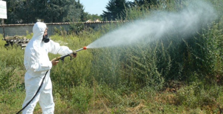 Chikungunya: Oms, non esclusi nuovi casi Chikungunya: Oms, non esclusi nuovi casi