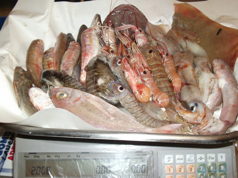 Pesce Fresco A Miglia Zero Nelle Mense Dei Nidi Comunali Riviera