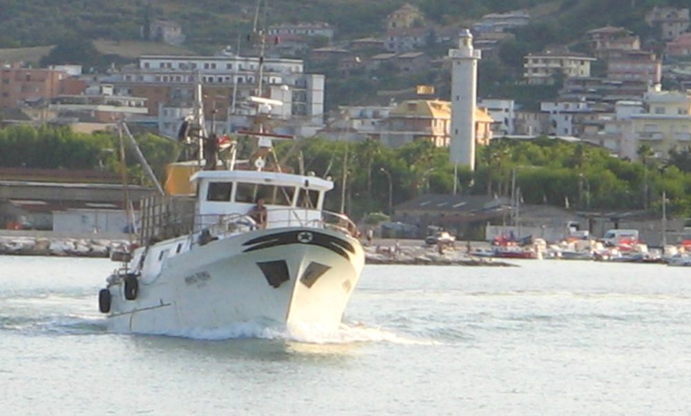 Riviera Oggi » “I porti di San Benedetto, Pesaro, Falconara, Ancona ... - Riviera Oggi