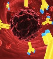 anticorpi-gialli-che-attaccano-una-cellula-cancerosa