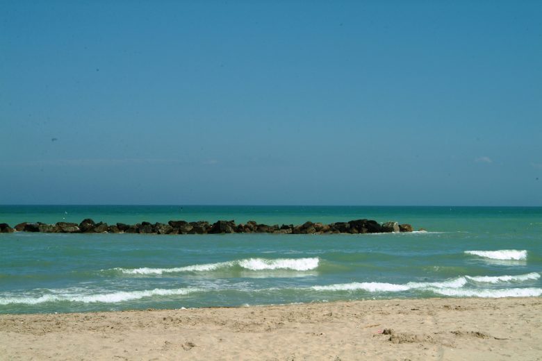 Scogliera