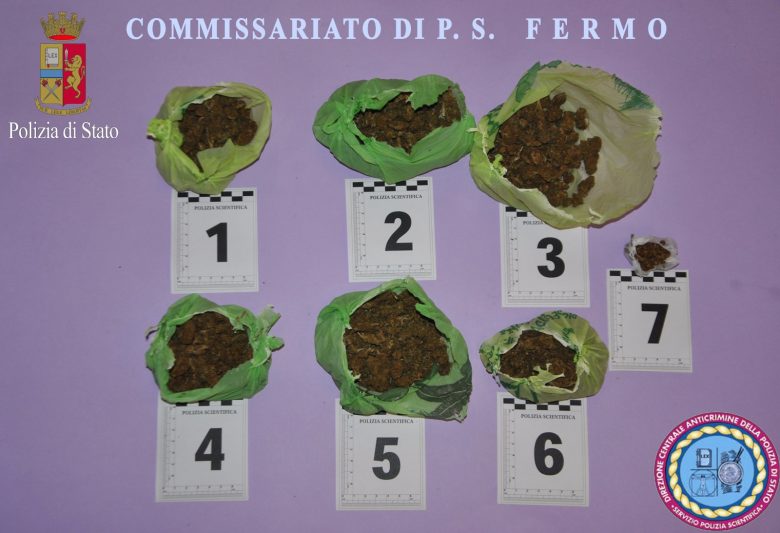 Fermo, avevano in casa un etto di droga Fermo, avevano in casa un etto di droga