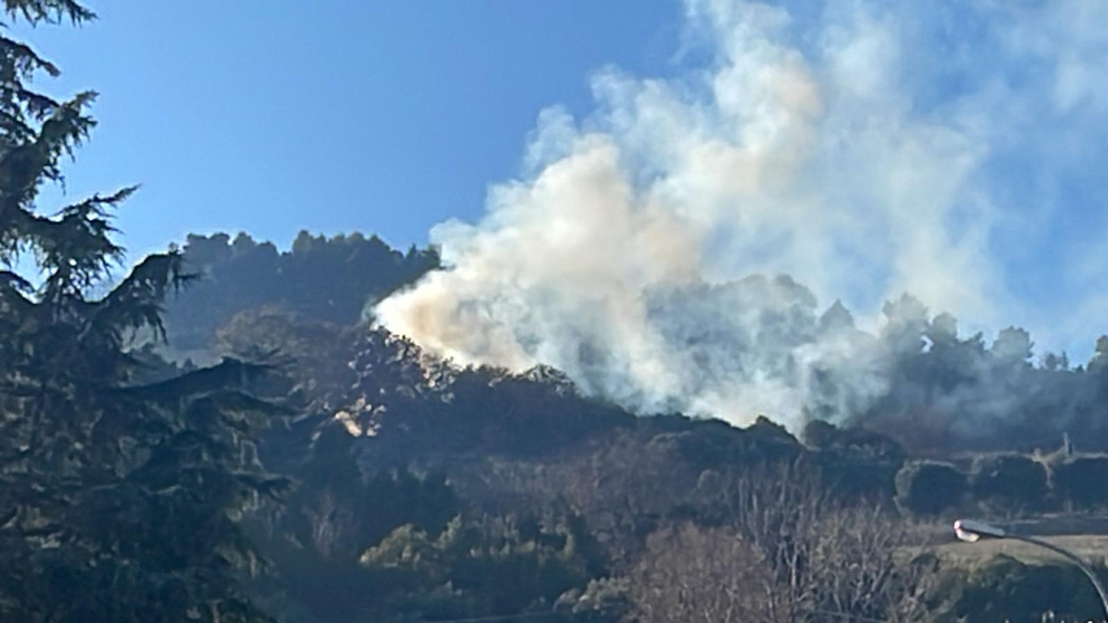 Incendio Pagliare focolai spenti. Analisi del terreno di Asur e