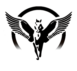 di Fi.Fa. Security